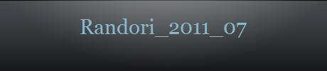 Randori_2011_07