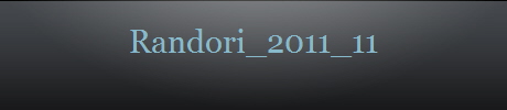 Randori_2011_11