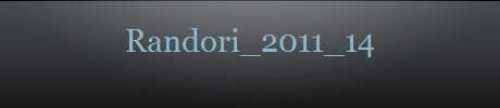 Randori_2011_14