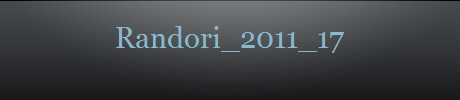 Randori_2011_17
