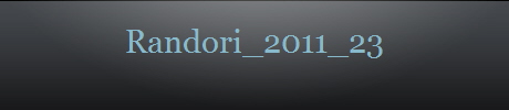 Randori_2011_23