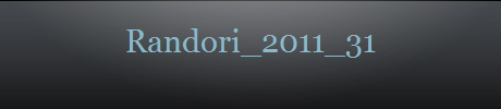 Randori_2011_31