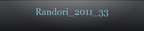 Randori_2011_33