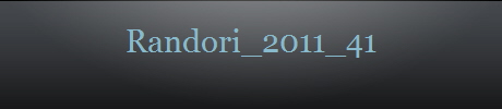 Randori_2011_41