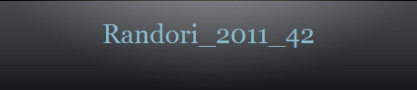 Randori_2011_42
