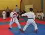 Randori_2011_16