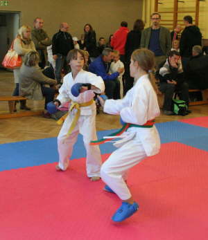 Randori_2011_24